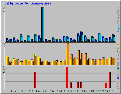 Daily usage for January 2013