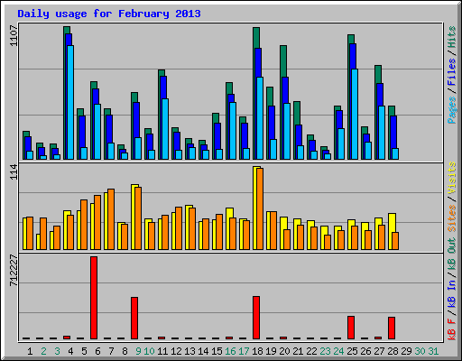 Daily usage for February 2013