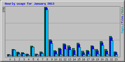 Hourly usage for January 2013