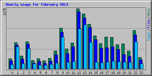 Hourly usage for February 2013