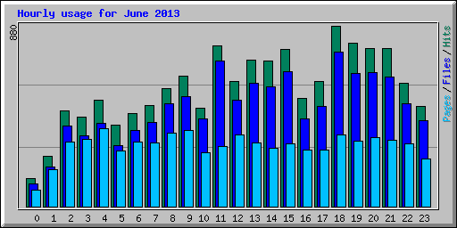 Hourly usage for June 2013